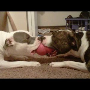 Meet your Posher, Kristina